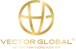 CÔNG TY CỔ PHẦN ĐẦU TƯ VECTOR GLOBAL